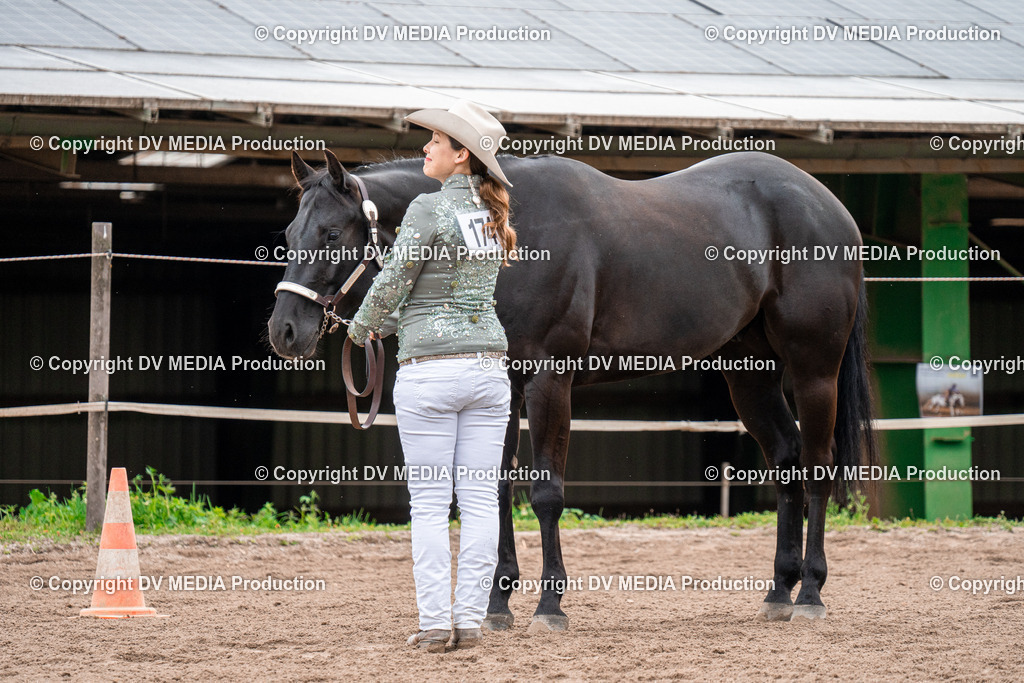 BA300172 | dv-media-shop - Realisiert mit Pictrs.com