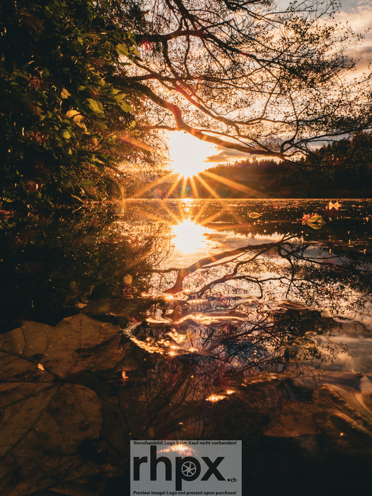 Sonnenstrahlen am See | Die untergehende Sonne spiegelt sich im ruhigen Wasser eines Sees, eingefasst von herbstlichen Ästen.. - Realisiert mit Pictrs.com