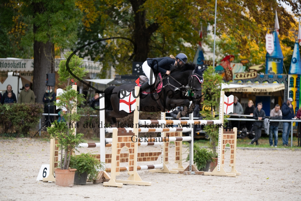 A7V00860 | Pferdefotograf