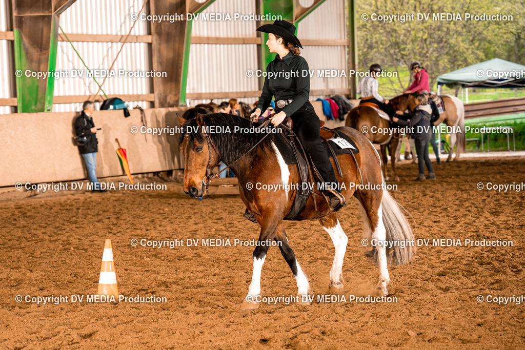 BAL00252 | dv-media-shop - Realisiert mit Pictrs.com