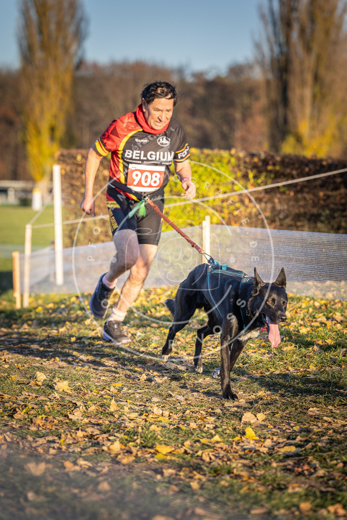 CaniXpix_DV3A4766 | Hundefotografie, Tierfotograf, Pfotenfotografie, Fotoshooting Hund, Hunde Portrait, Hundesport, Hundeportraits, Heideshooting, Hunde, Sportfotograf, Hundefotograf, Turnierhundsport, THS,  - Realisiert mit Pictrs.com