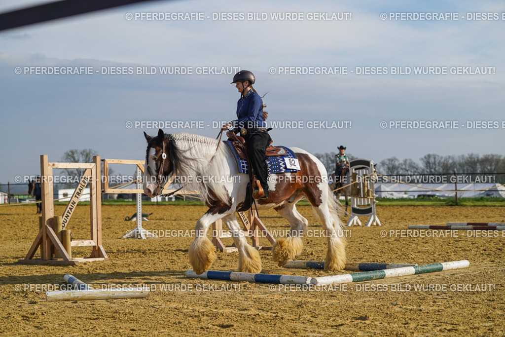 DSC00933 | Pferdegrafie