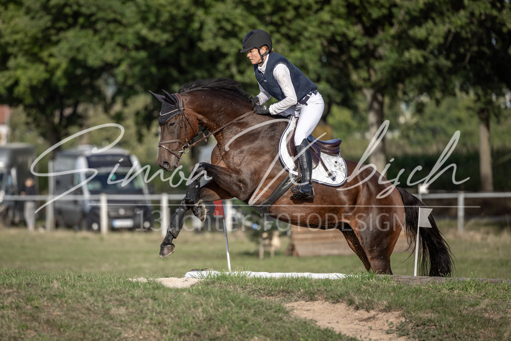 20250907-_3LI8650 | Tierfotografie Pferde, Hunde, Katzen, Haustiere.
Turnierfotografie Reitturniere, Reiten, Springreiten, Dressur in Hanau, dem Main-Kinzig-Kreis und dem Rhein-Main- Gebiet um Frankfurt