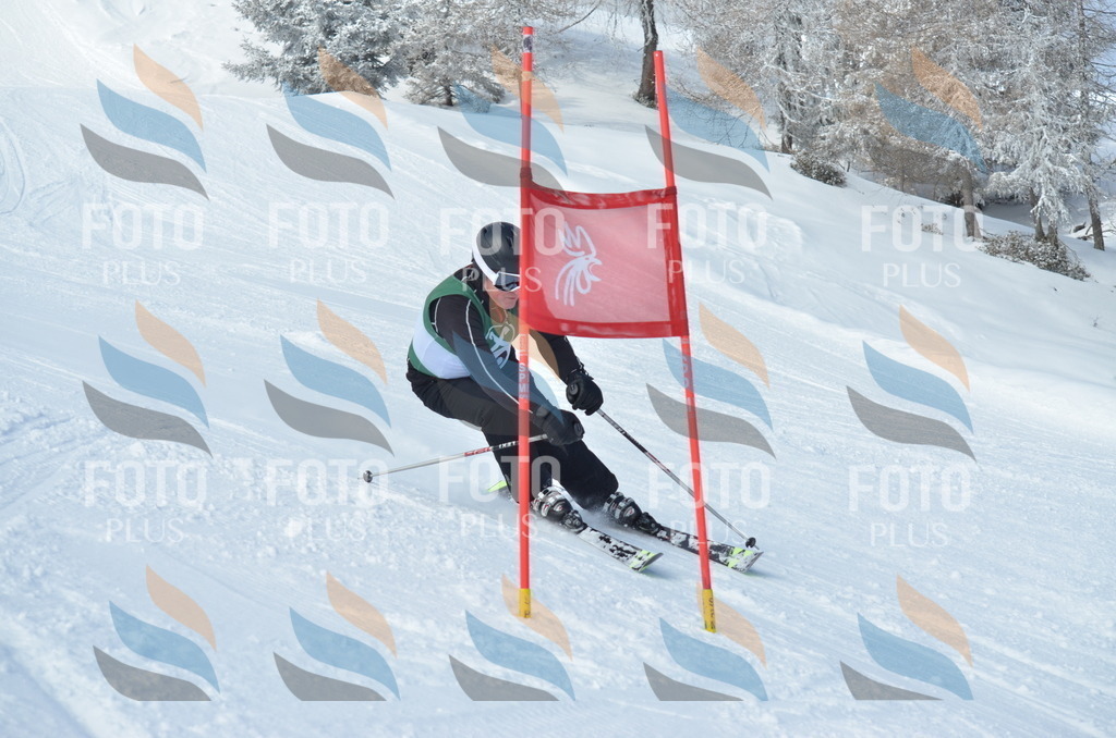 D8966 | holidayphoto