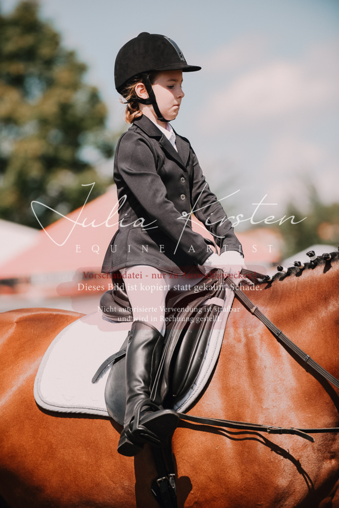 DSC_6110 | Pferde- und Turnierfotografie in Westsachsen. Pferdeportraits, Auftragszeichnungen und intuitive Kunst.