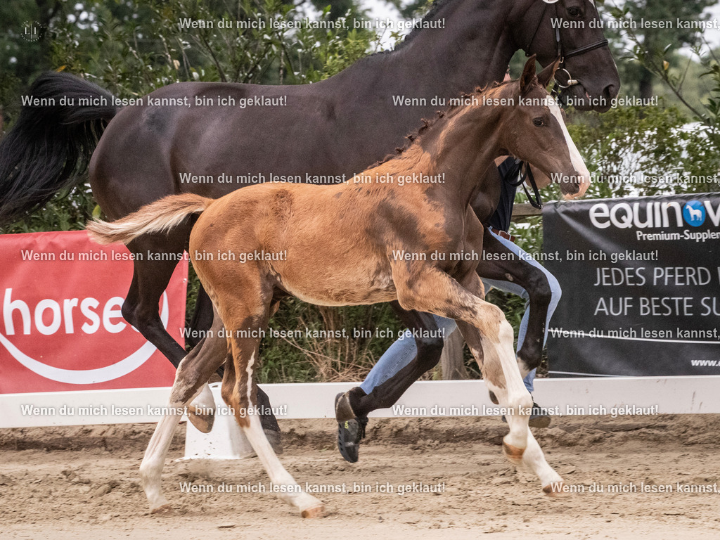 A10I9978 | photographylinaismer - Realisiert mit Pictrs.com