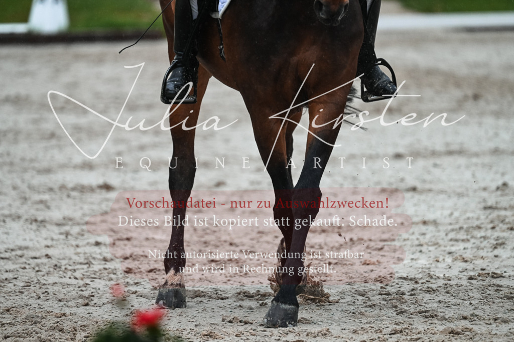 DSC_4530 | Pferde- und Turnierfotografie in Westsachsen. Pferdeportraits, Auftragszeichnungen und intuitive Kunst.