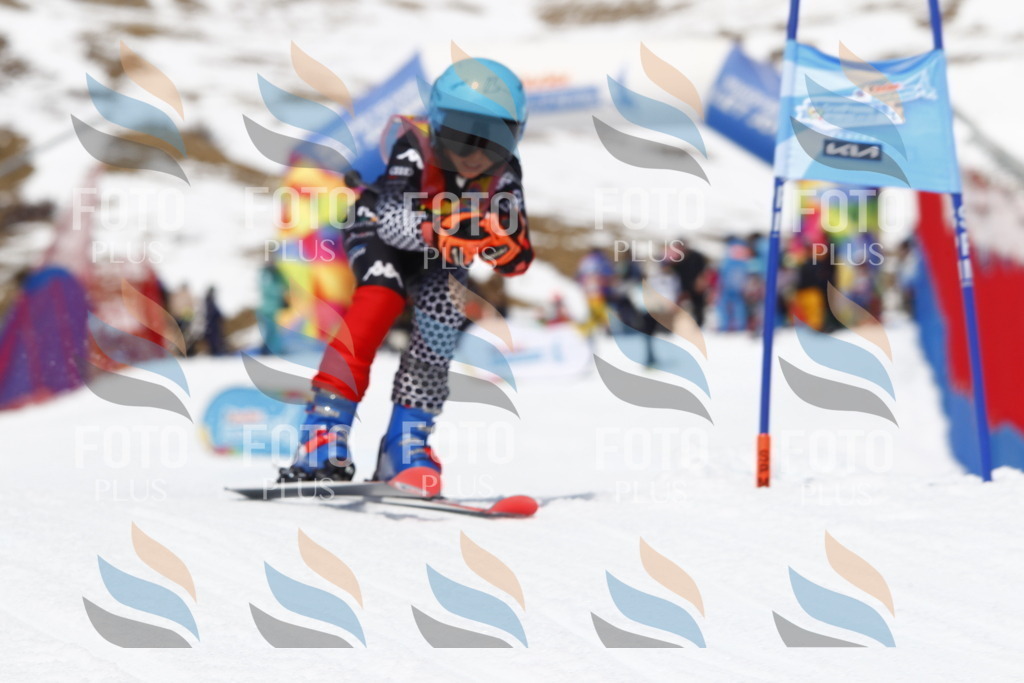 _U3G8083 | holidayphoto