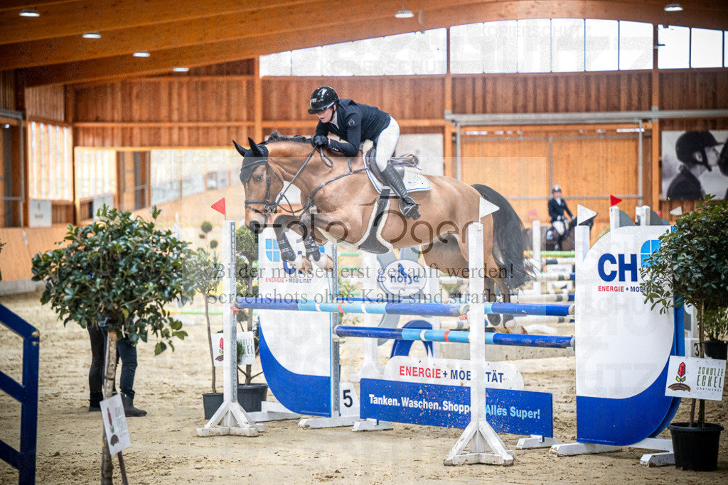 DOS_0824 | Entdecke hochwertige Reitturnierfotos von Foto Oger. Professionell, emotional und authentisch – jetzt Lieblingsmomente im Shop bestellen.Deutschlandweite Turnierfotografie. - Realisiert mit Pictrs.com