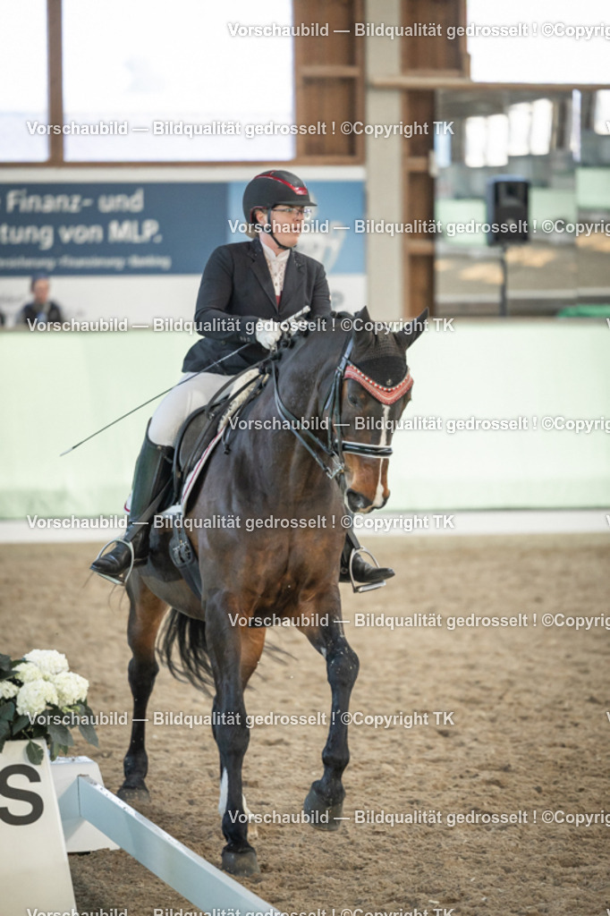 _D5A3356 | Emotionale Pferde- & People-Fotografie rund um Heidelberg, Leimen & Umgebung. Natürliche Fotos von Pferd, Mensch & Familie. Jetzt Termin sichern!