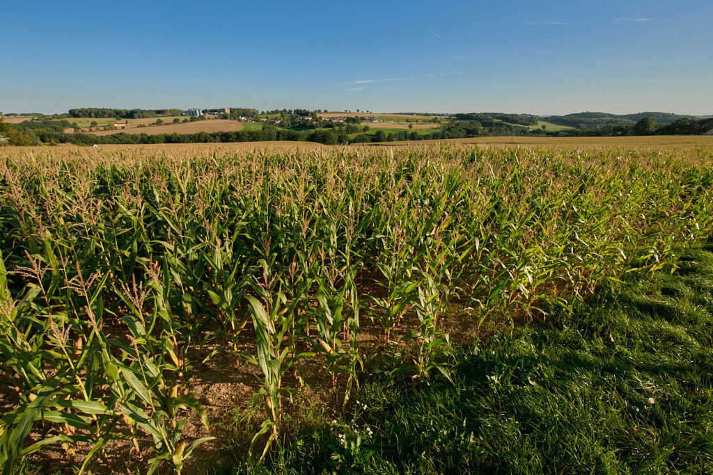 Zwischen Scholas und Coschütz_ Blick nach Reimersgrün 01 | Bedeutsame Landschaften Deutschlands - Realisiert mit Pictrs.com