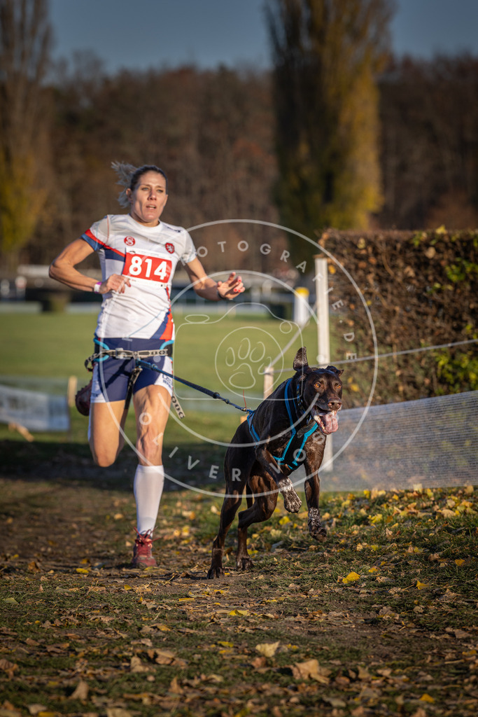 CaniXpix_DV3A3105 | Hundefotografie, Tierfotograf, Pfotenfotografie, Fotoshooting Hund, Hunde Portrait, Hundesport, Hundeportraits, Heideshooting, Hunde, Sportfotograf, Hundefotograf, Turnierhundsport, THS,  - Realisiert mit Pictrs.com