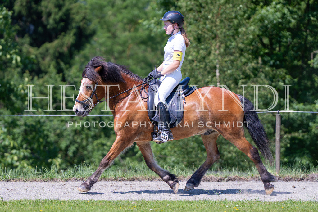 KAI05312 | Ihr sucht einen Fotografen für eure nächste OSI? Ich begleite auch euer Turnier für Islandpferde fotografisch.  - Realisiert mit Pictrs.com