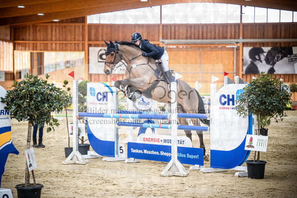 DOS_0938 | Entdecke hochwertige Reitturnierfotos von Foto Oger. Professionell, emotional und authentisch – jetzt Lieblingsmomente im Shop bestellen.Deutschlandweite Turnierfotografie. - Realisiert mit Pictrs.com