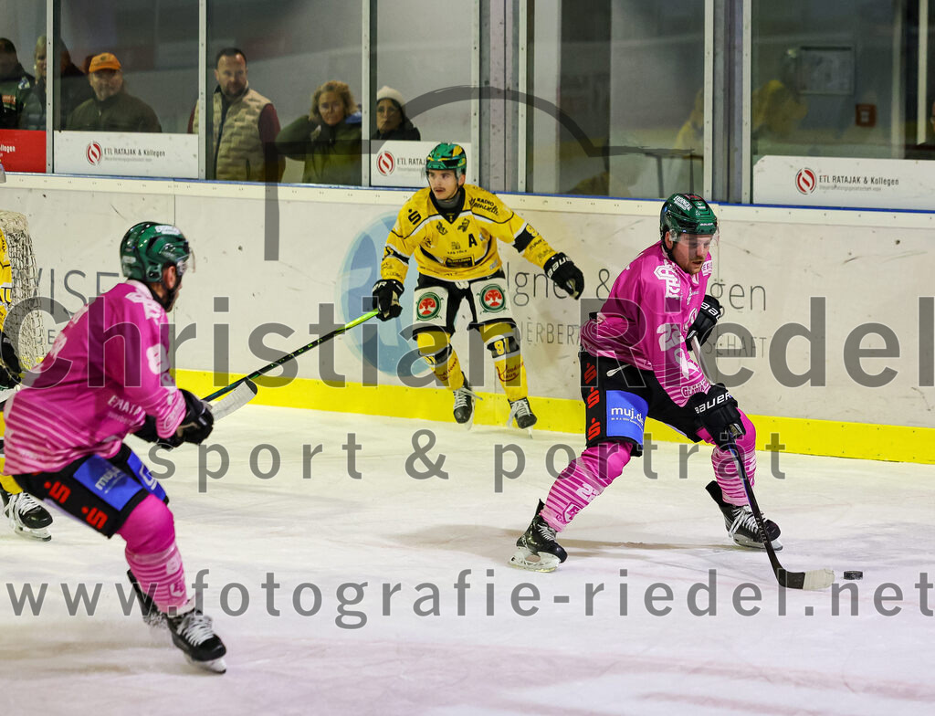 2025-10-28_159_TSV_Erding_gegen_Toelzer_Loewen | Erding, Deutschland, 28.10.2025:Eishockey, Oberliga Süd 2025 / 2026, 13. Spieltag, TSV Erding gegen Tölzer Löwen, Endergebnis: 2:5Maximilian Forster (Erding Gladiators, #81), Alex Groß-Rubatscher (Tölzer Löwen, #91), Grady Hobbs (Erding Gladiators, #22)Foto: Christian Riedel / fotografie-riedel.net