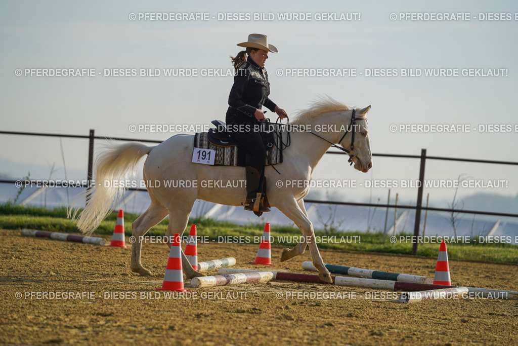 DSC00044 | Pferdegrafie