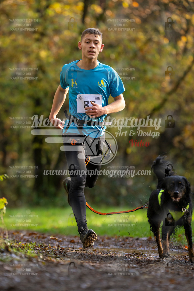MompixPhotography_Bischwiller23_Canicross-24 | PayLife