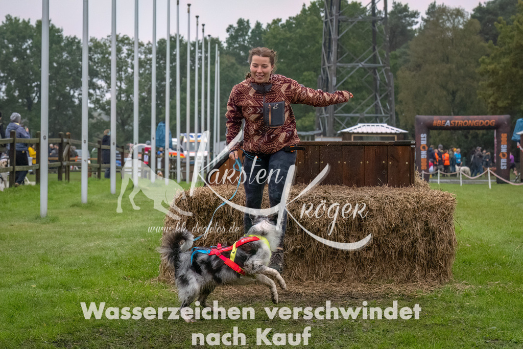 1226--10 | kk-dogfotos