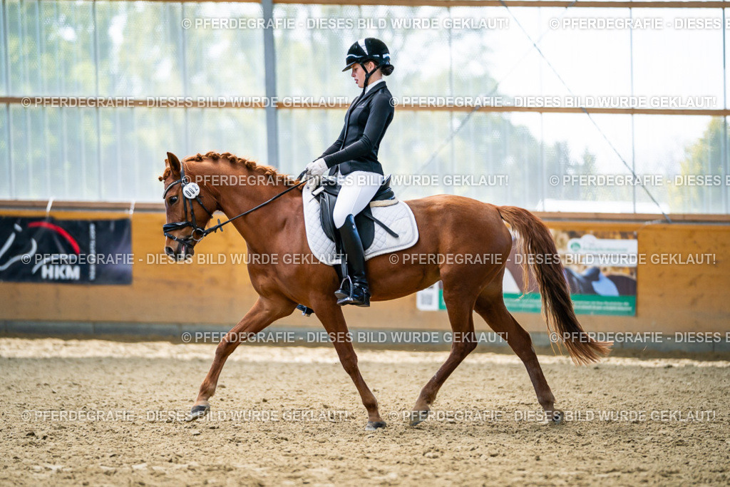 DSC05146 | Pferdegrafie