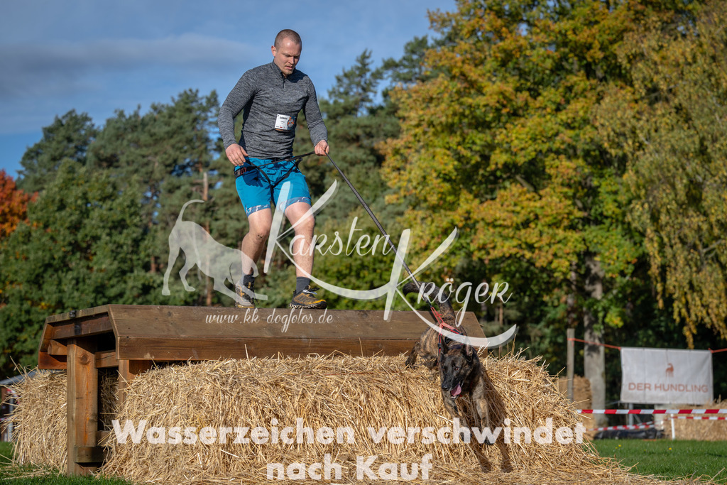 1001_ZZ91989 | kk-dogfotos