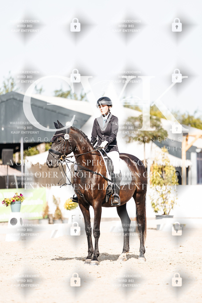CK905560 | Turnierfotografie Pferdefotografie Trier Rheinland-Pfalz Pferdesport Reitsport Tierfotografie Sportfotografie Pferdevideo Pferdevideografie Equestrianvideography equestrianphotography  - Realisiert mit Pictrs.com
