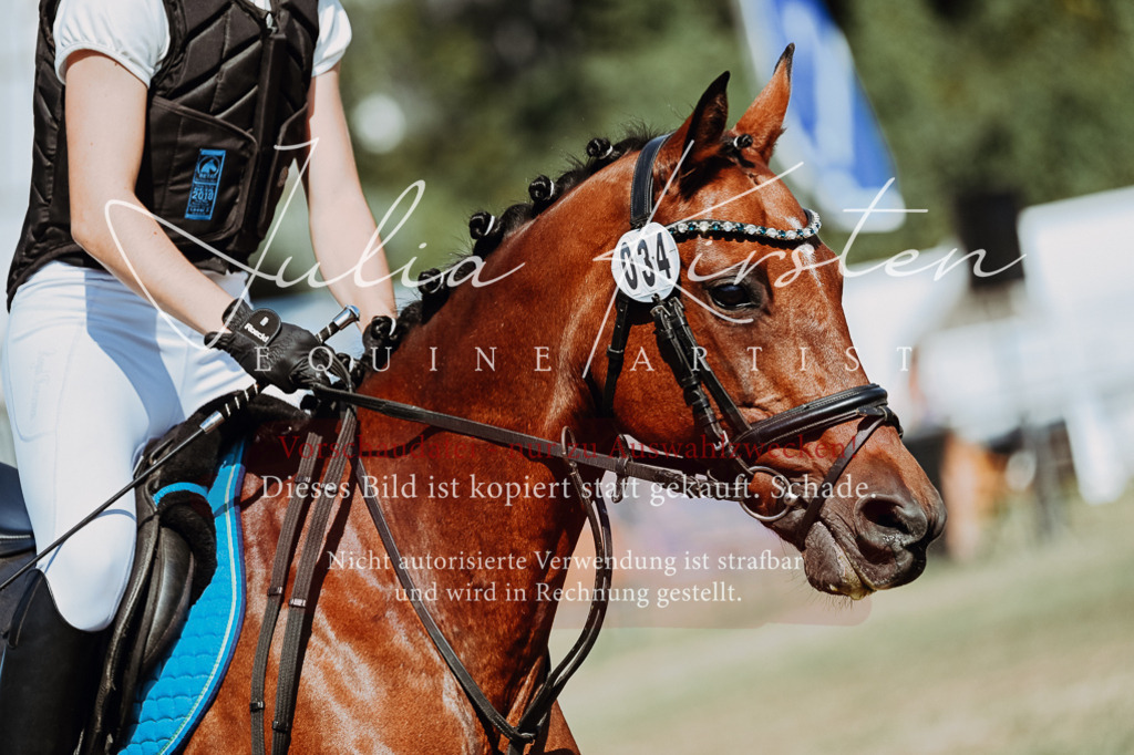 DSC_9963 | Pferde- und Turnierfotografie in Westsachsen. Pferdeportraits, Auftragszeichnungen und intuitive Kunst.