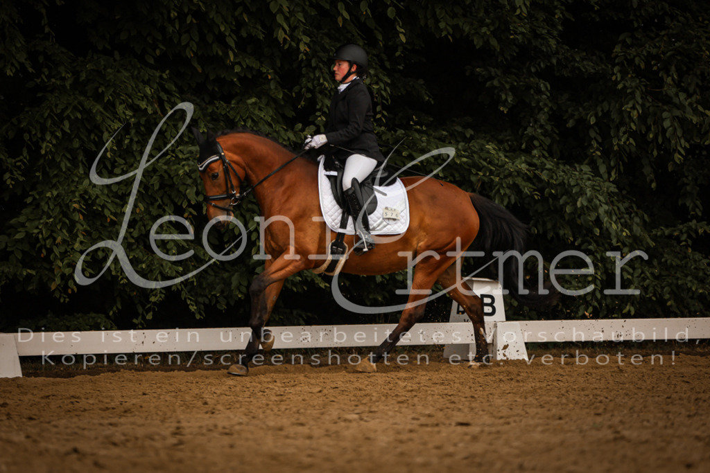 DoDrA00611 | Leoni Ertmer Photography - Realisiert mit Pictrs.com