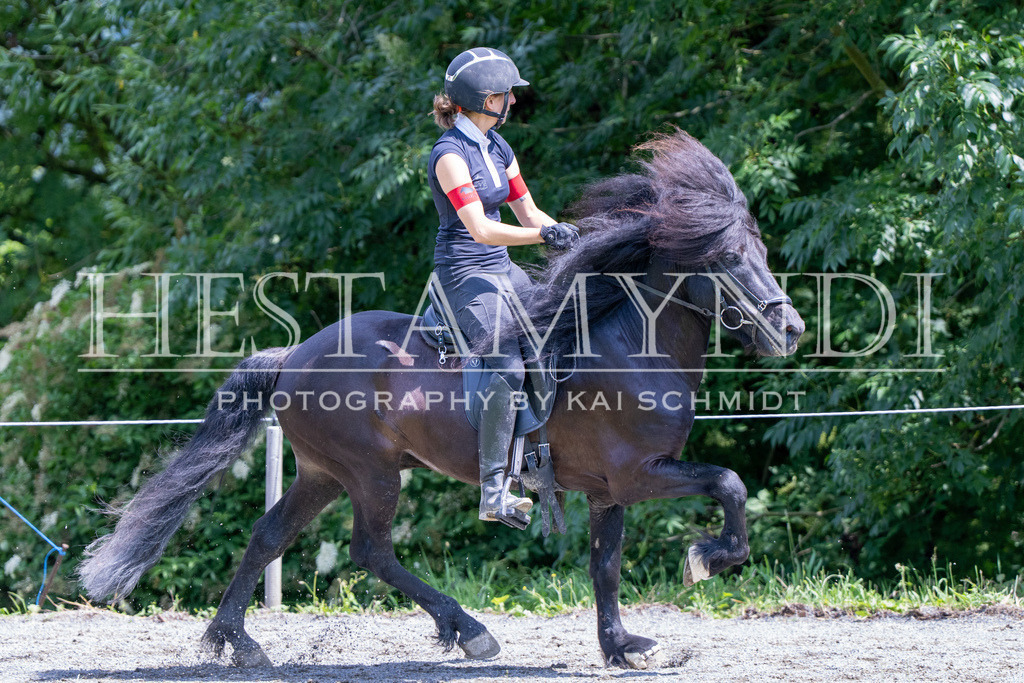 KAI08013 | Ihr sucht einen Fotografen für eure nächste OSI? Ich begleite auch euer Turnier für Islandpferde fotografisch.  - Realisiert mit Pictrs.com