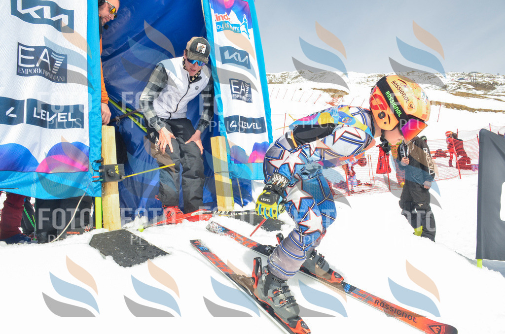 _ELE7578 | holidayphoto