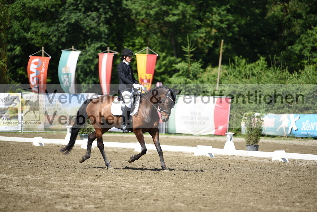 DSC_0043 | equestrian-live-com