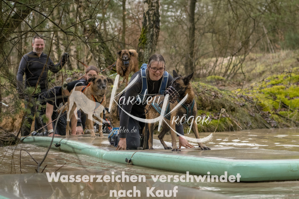 1334_ZZ90012-Bearbeitet | kk-dogfotos