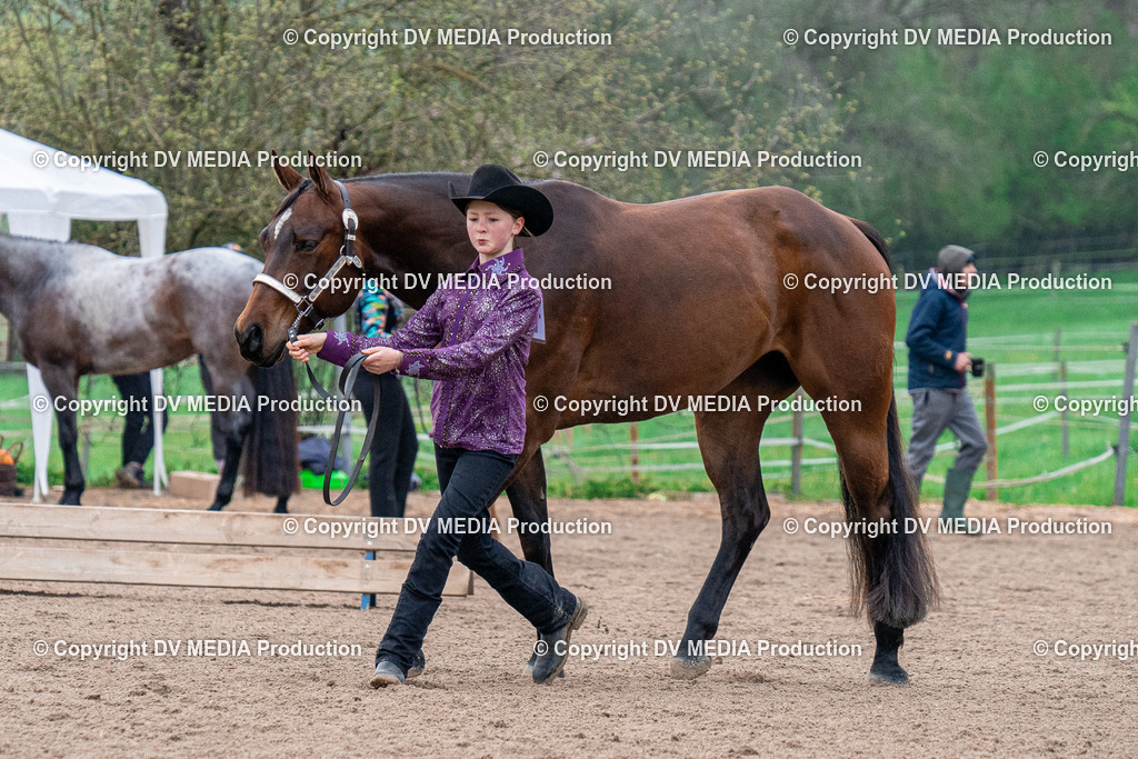 BA300016 | dv-media-shop - Realisiert mit Pictrs.com