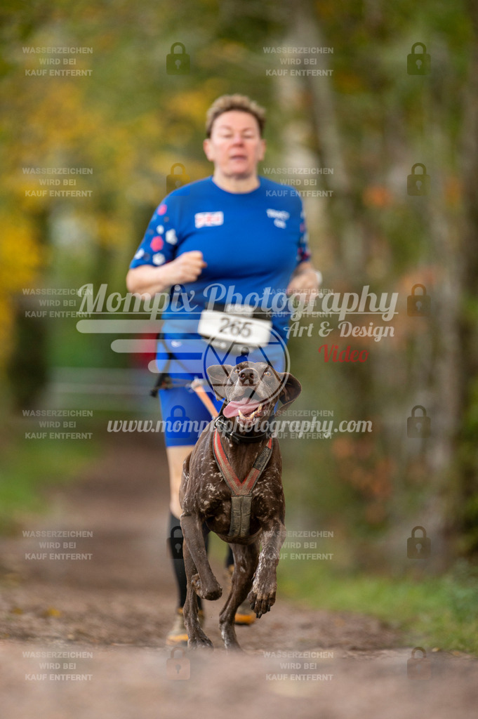 TSB_2023_E4_Canicross-178 | PayLife