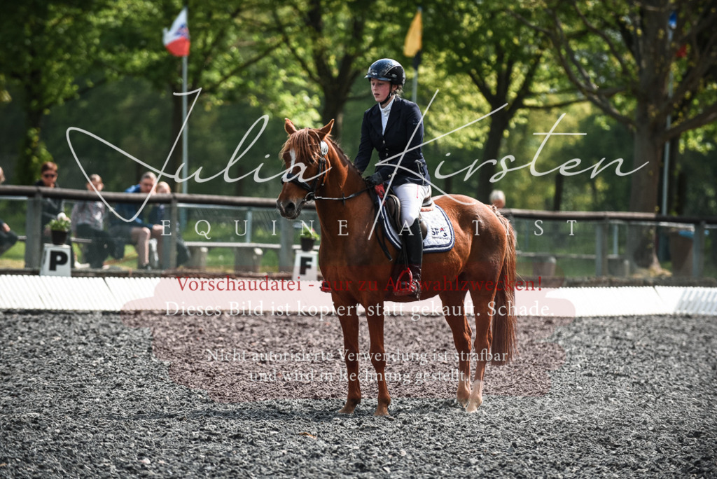 DSC_9061 | Pferde- und Turnierfotografie in Westsachsen. Pferdeportraits, Auftragszeichnungen und intuitive Kunst.