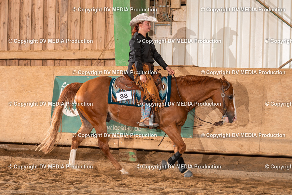 Balingen Tag 2-1658 | dv-media-shop - Realisiert mit Pictrs.com