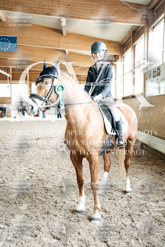 CK703388 | Turnierfotografie Pferdefotografie Trier Rheinland-Pfalz Pferdesport Reitsport Tierfotografie Sportfotografie Pferdevideo Pferdevideografie Equestrianvideography equestrianphotography  - Realized with Pictrs.com