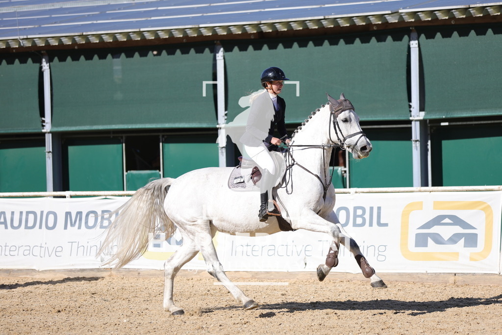 0P6A0921 | Willkommen bei Brunnmayr - Design & Fotografie – Ihrem Spezialisten für Reitturniere und Pferdeveranstaltungen in Oberösterreich, Salzburg und Bayern! Seit über 17 Jahren sind wir leidenschaftlich dabei.