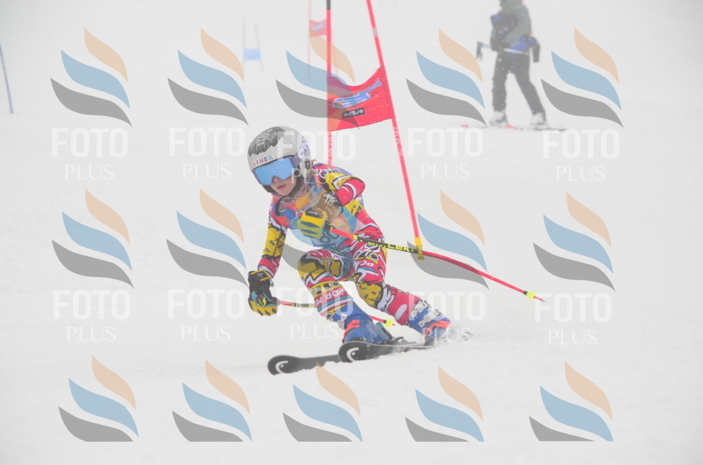 C1232 | holidayphoto