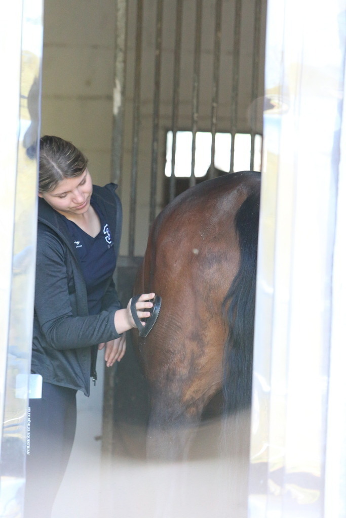 DL2Q3101 | Willkommen bei Brunnmayr - Design & Fotografie – Ihrem Spezialisten für Reitturniere und Pferdeveranstaltungen in Oberösterreich, Salzburg und Bayern! Seit über 17 Jahren sind wir leidenschaftlich dabei.