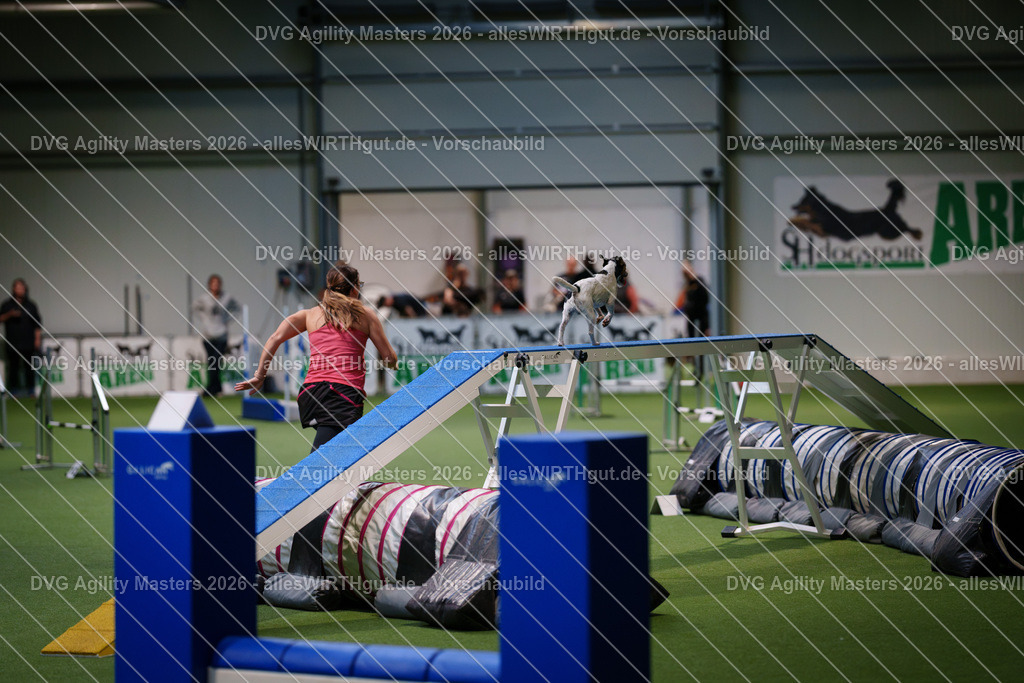 allesWIRTHgut_Tierfotografie-DVG_Agility_Masters_2026-16_32-7R503789 | Professionelle Tierfotografie in Mönchengladbach von Daniel Wirth (allesWIRTHgut). Liebevolle & natürliche Bilder von Hunden & Katzen für unvergessliche Erinnerungen.