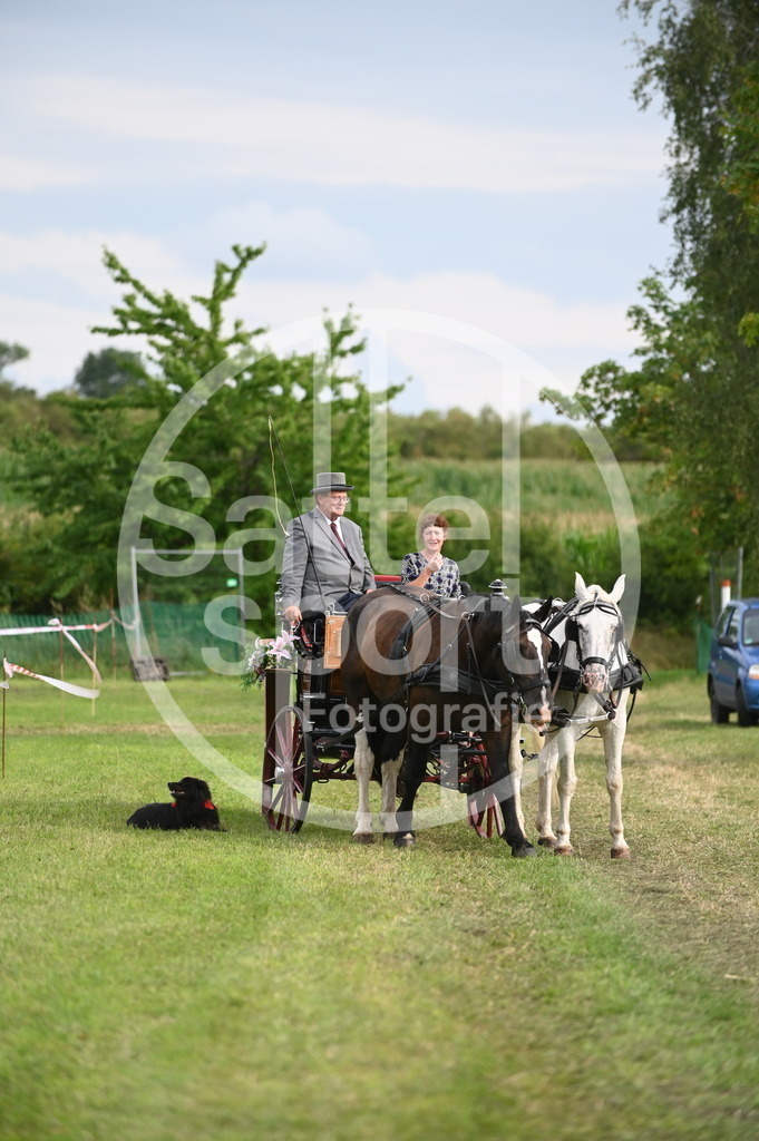 DSC_3630 | sattelsport - Realisiert mit Pictrs.com