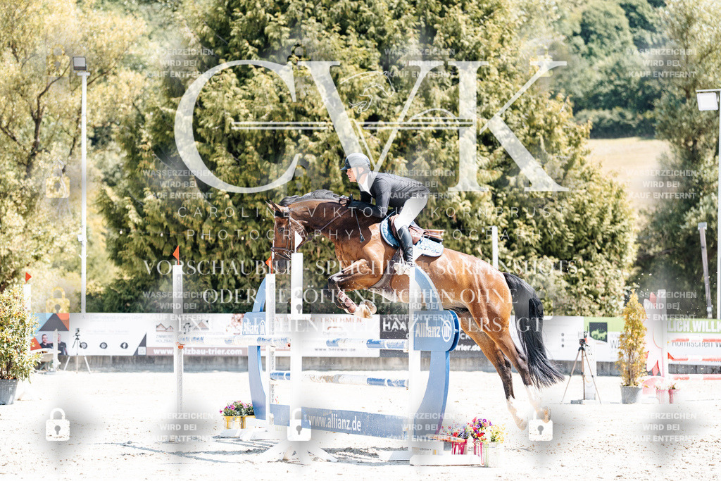 CK900136 | Turnierfotografie Pferdefotografie Trier Rheinland-Pfalz Pferdesport Reitsport Tierfotografie Sportfotografie Pferdevideo Pferdevideografie Equestrianvideography equestrianphotography  - Realisiert mit Pictrs.com