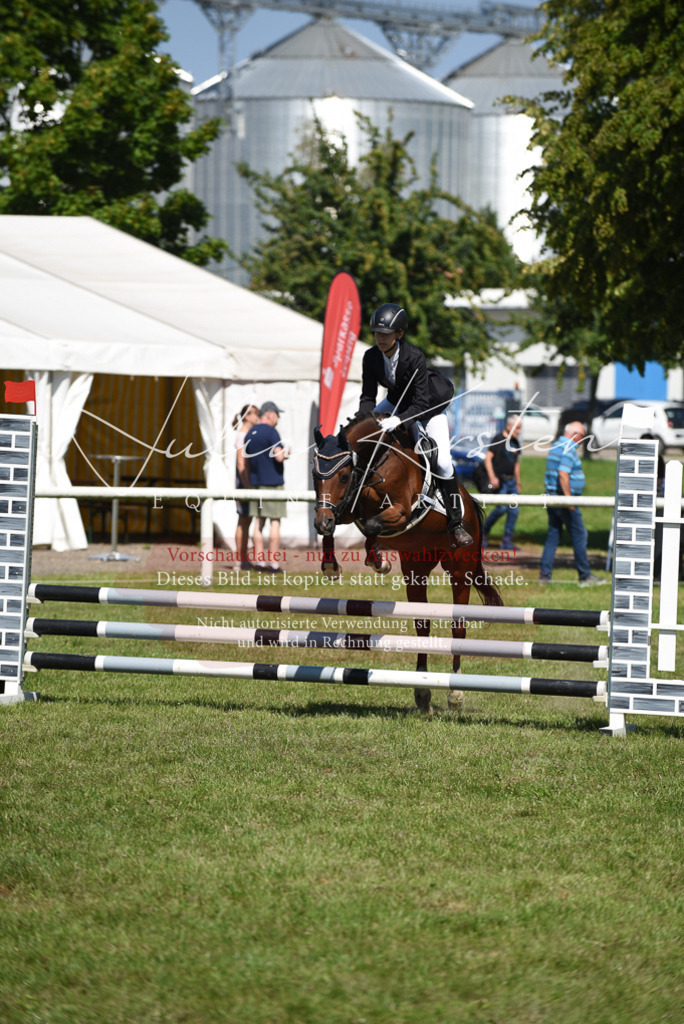 DSC_9562 | Pferde- und Turnierfotografie in Westsachsen. Pferdeportraits, Auftragszeichnungen und intuitive Kunst.