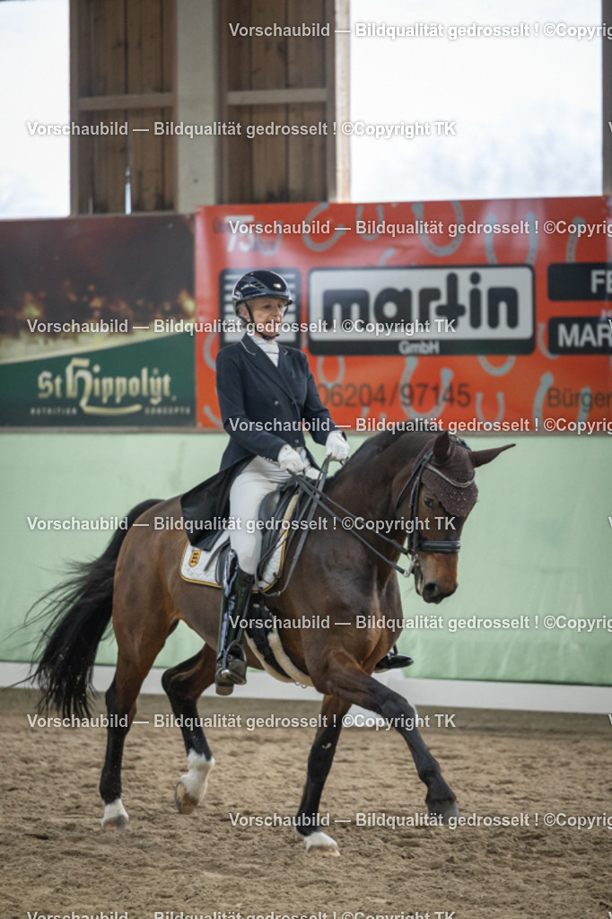 _D5A6794 | Emotionale Pferde- & People-Fotografie rund um Heidelberg, Leimen & Umgebung. Natürliche Fotos von Pferd, Mensch & Familie. Jetzt Termin sichern!