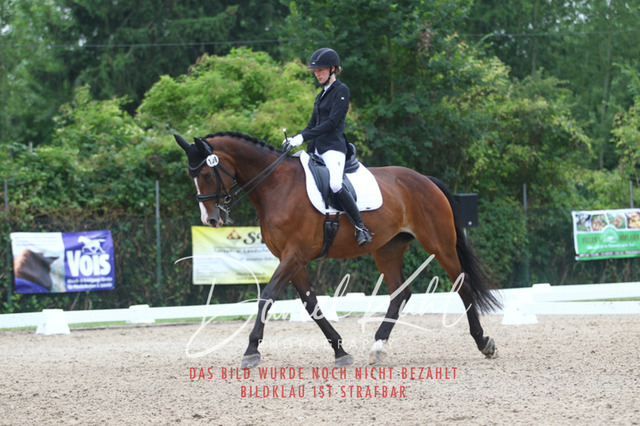 DKP40254 | Turniersportfotografie; Pferdefotografie; Dressurfotografie