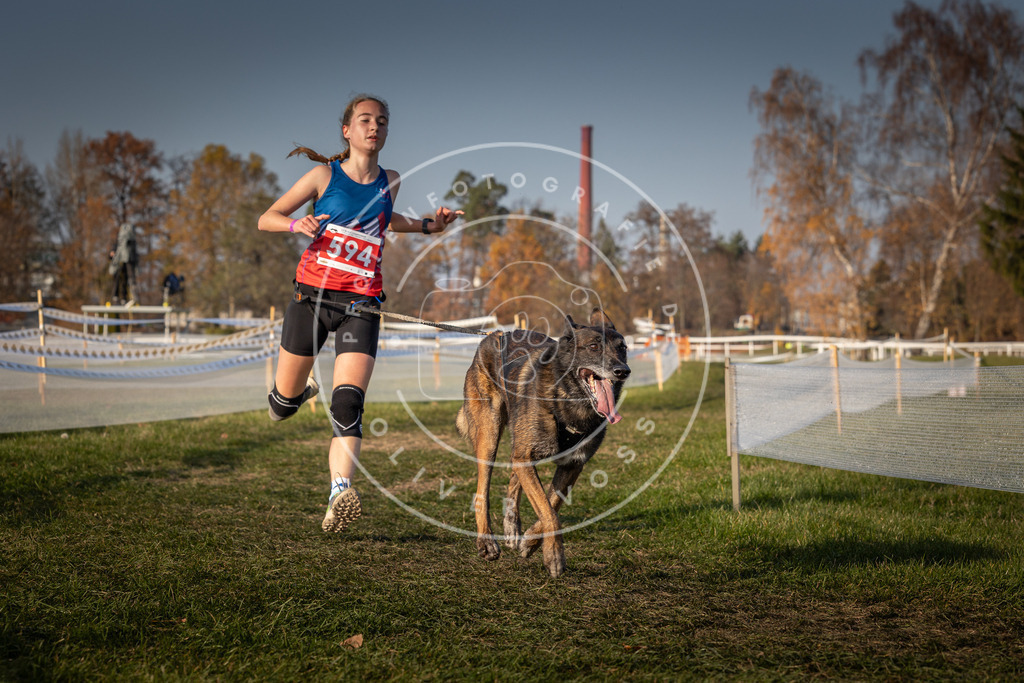 CaniXpix_0L8A9982 | Hundefotografie, Tierfotograf, Pfotenfotografie, Fotoshooting Hund, Hunde Portrait, Hundesport, Hundeportraits, Heideshooting, Hunde, Sportfotograf, Hundefotograf, Turnierhundsport, THS,  - Realisiert mit Pictrs.com