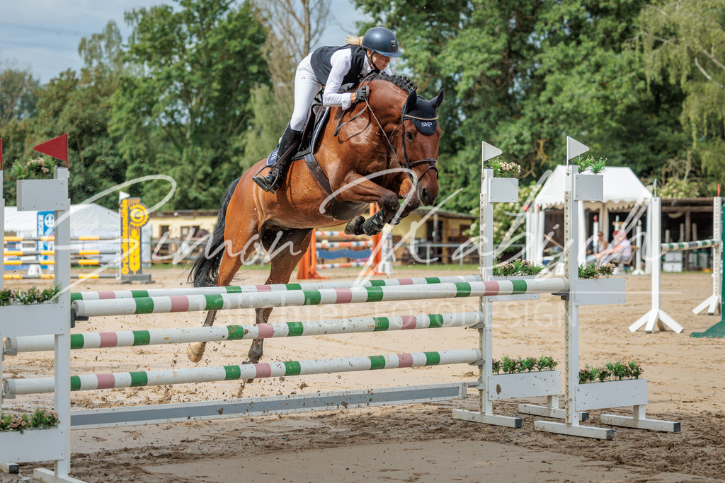 20260530-_3LI2277 | Tierfotografie Pferde, Hunde, Katzen, Haustiere.
Turnierfotografie Reitturniere, Reiten, Springreiten, Dressur in Hanau, dem Main-Kinzig-Kreis und dem Rhein-Main- Gebiet um Frankfurt
