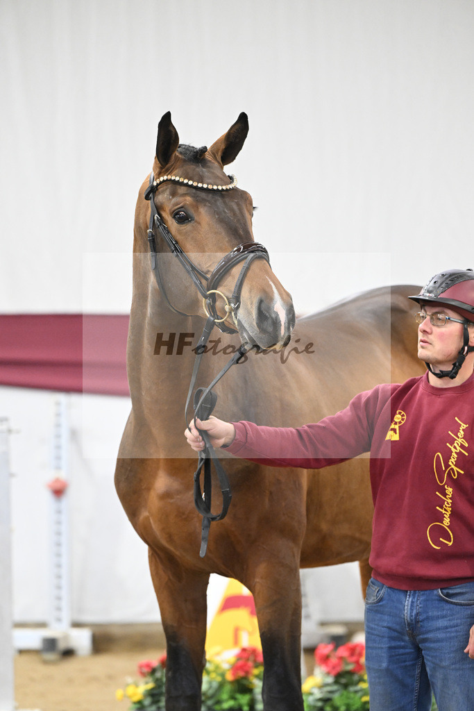 Kat-Nr. 8 Verdi x Sterntaenzer_ZG Sautter_47250137 | hf-fotografie - Realisiert mit Pictrs.com