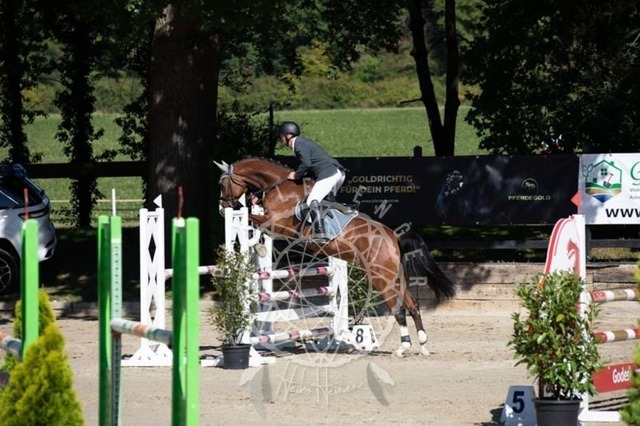 2B4A0487 | pixelfaenger - Realisiert mit Pictrs.com