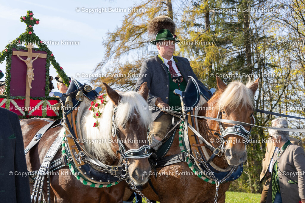 LBT24-1211 | foto-bettina-krinner - Realisiert mit Pictrs.com